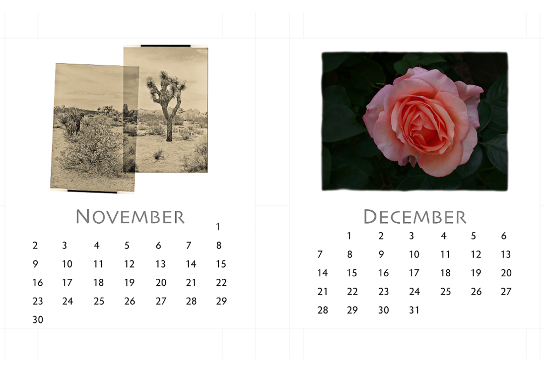 variable aspect ratio cd jewel case calendar november and december 2014