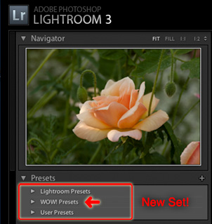 the presets panel now has three folders within it