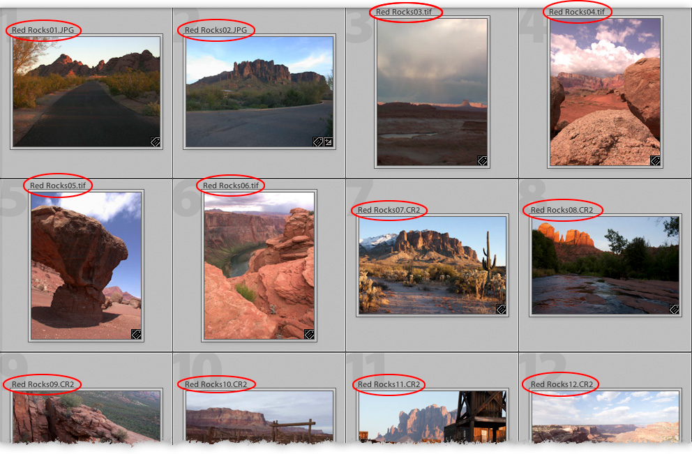 images affected by a batch rename process