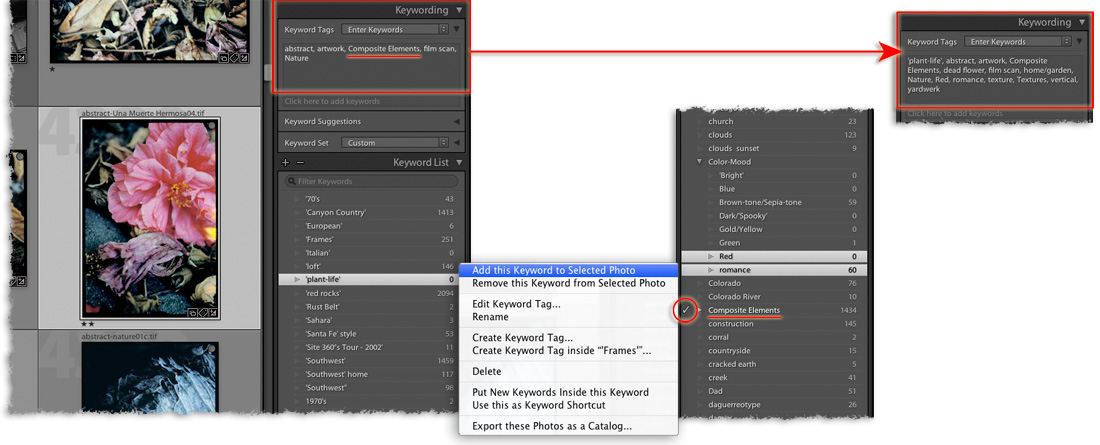 a lightroom library illustration