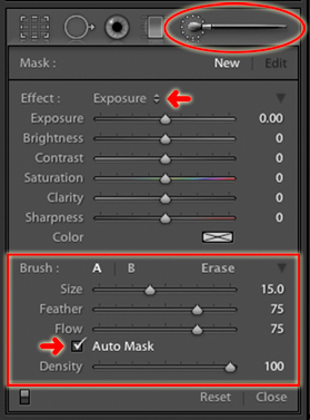 the adjustment  brush tool options