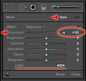 Graduated Filter tool options panel.