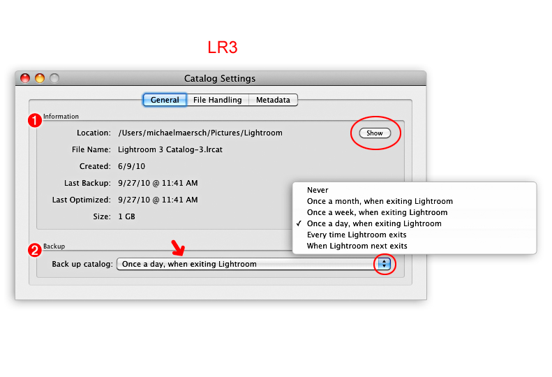 general catalog settings in lightroom