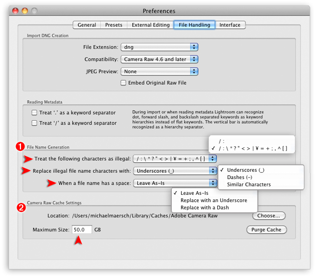 the file handling tab in the lightroom presets panel