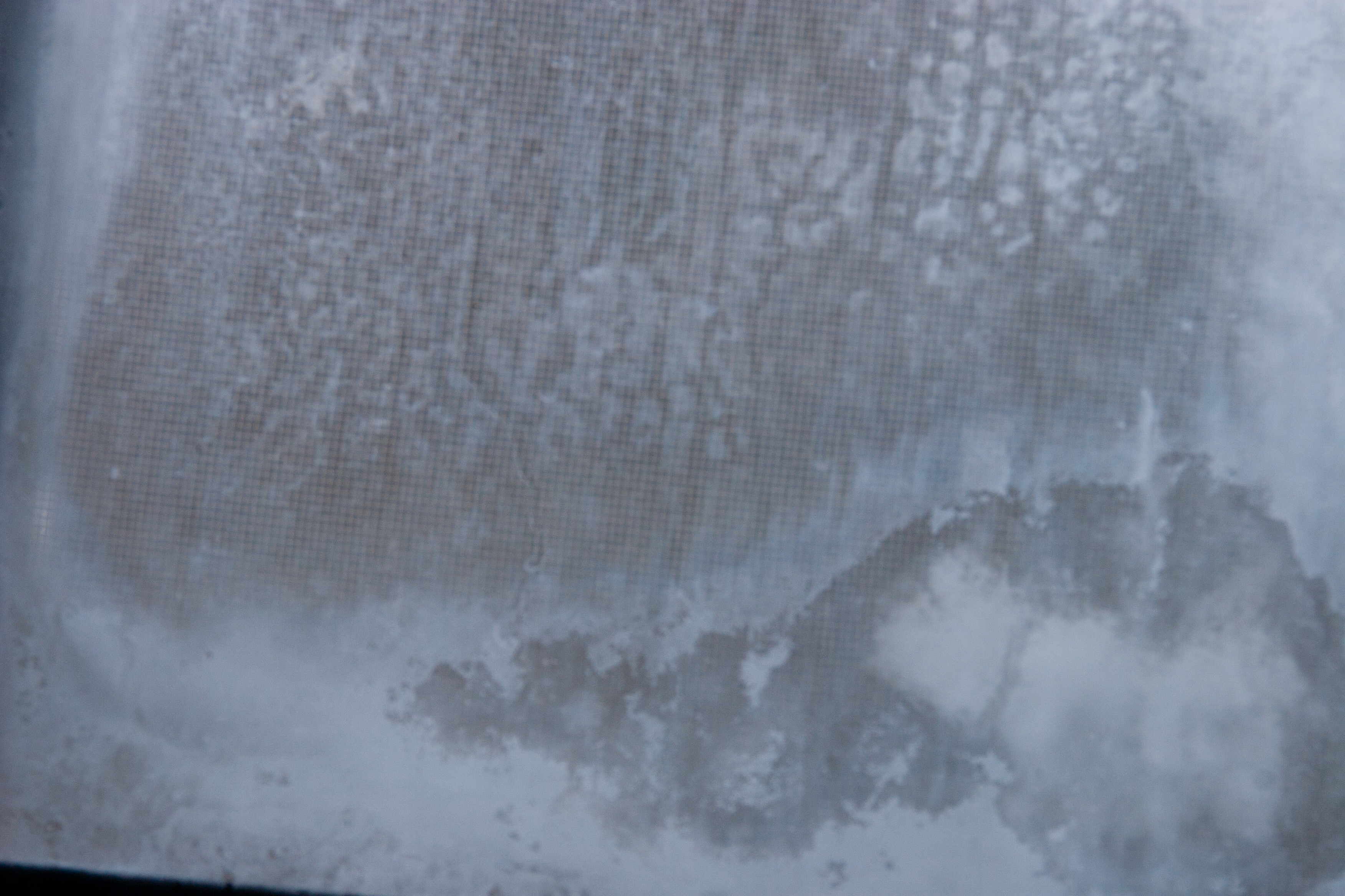 window detail 0246